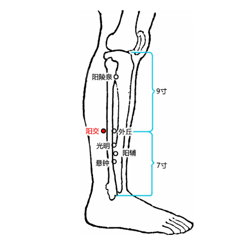 陽交穴疼怎么回事？它的準(zhǔn)確位置及其功效與作用有哪些？