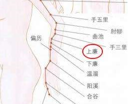 按摩上廉穴的好處