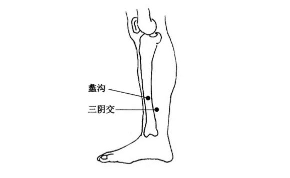 蠡溝穴穴位配伍