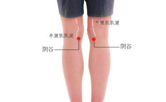 陰谷穴的取穴方法