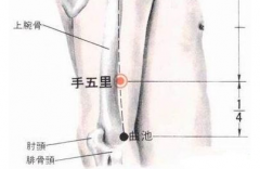 中醫(yī)按摩手五里穴的好處