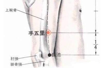 手五里穴圖片