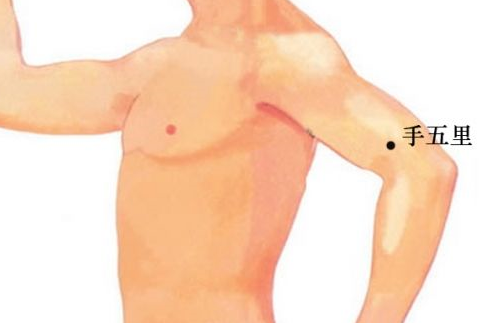 手五里穴圖片