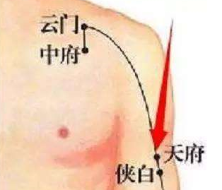 天府穴的功效與作用