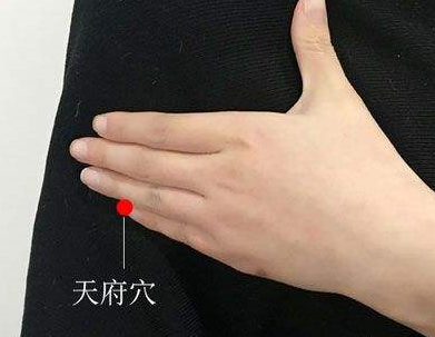 天府穴的位置