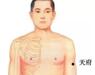 天府穴的準(zhǔn)確位置圖