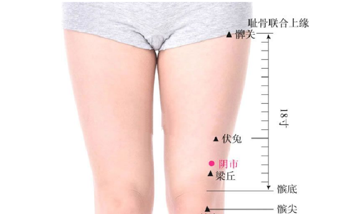 陰市穴的按摩方法