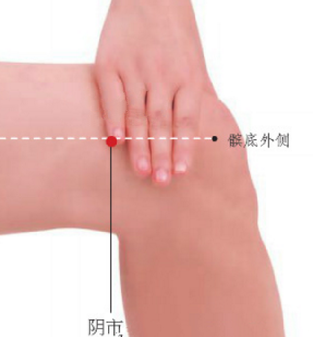 按摩陰市穴能治療糖尿??？它的準(zhǔn)確位置及其功效與作用有哪些？