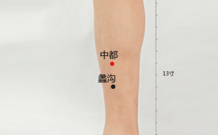中都穴的功效與作用