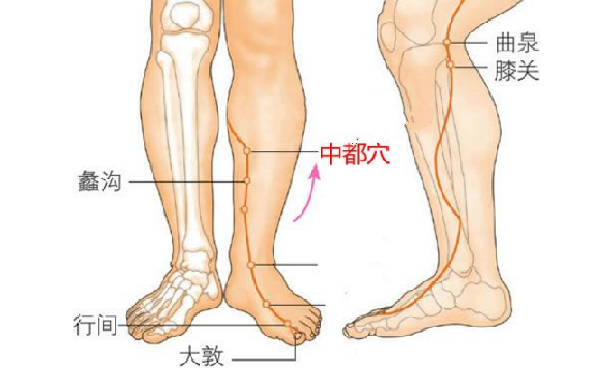 中都穴的標準定位