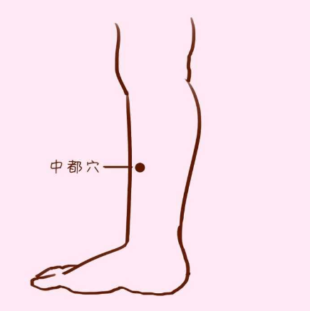 中都穴的準確位置及按摩中都穴的功效與作用有哪些？