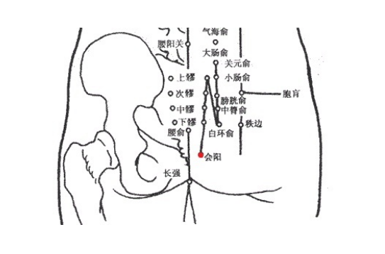 會陽穴的圖片