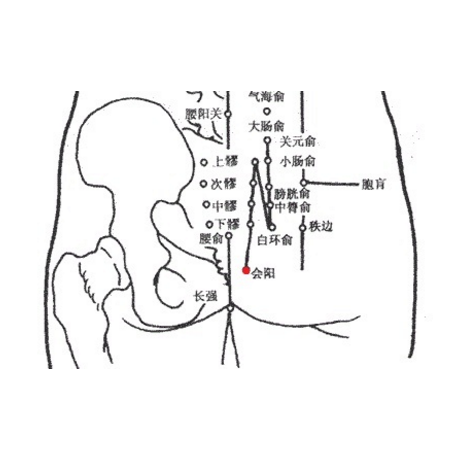 按摩會陽穴可治療痔瘡，它的準確位置及其功效與作用有哪些！