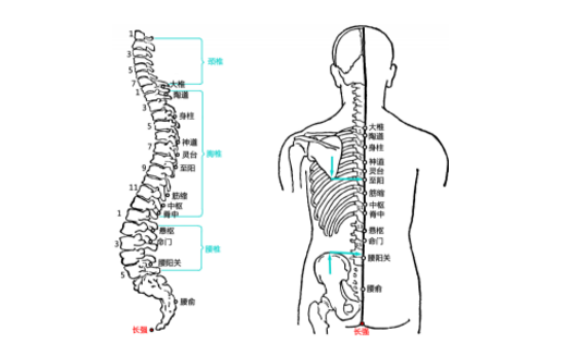 長強穴穴位配伍