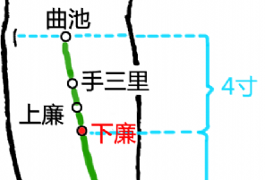 下廉穴的功效與作用