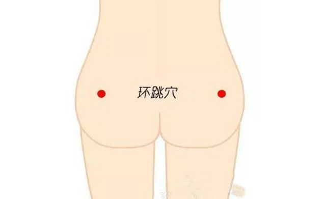 環(huán)跳穴穴位配伍