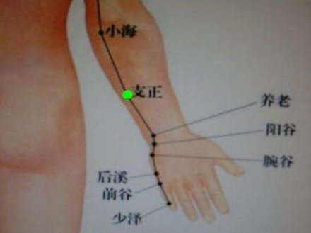 支正穴的圖片