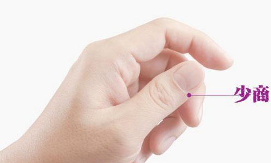 夏季自制潤(rùn)肺茶飲