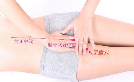 陰廉穴的功效與作用