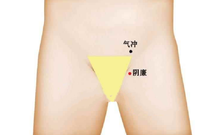 陰廉穴穴位配伍