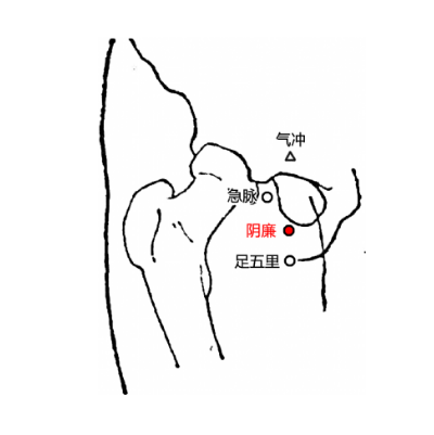 常按陰廉穴能調(diào)經(jīng)助孕，它的準確位置及其按摩的功效與方法有哪些？