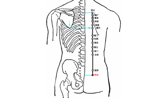 秩邊穴的功效與作用