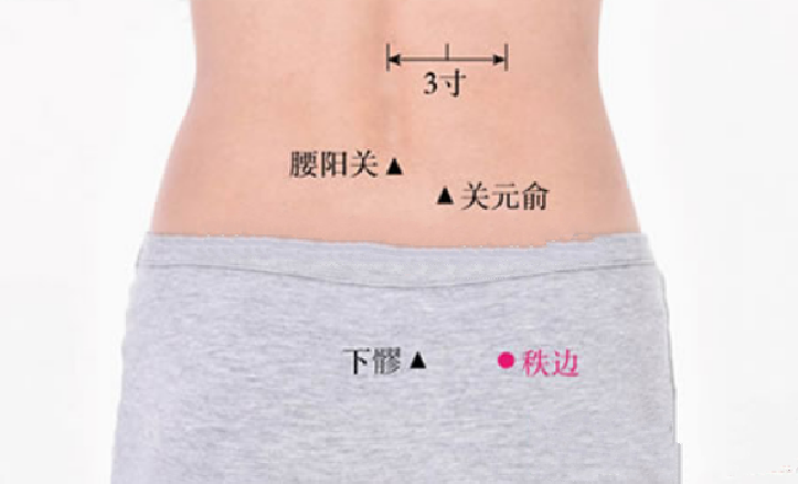 秩邊穴主治疾病