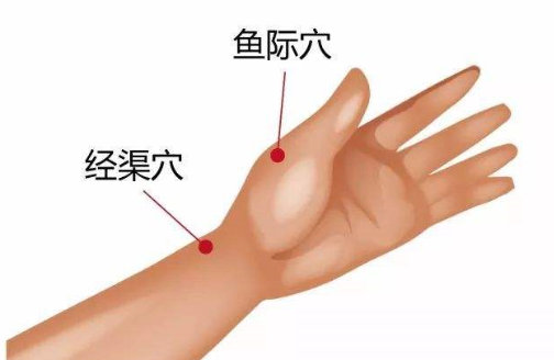 經(jīng)渠穴圖片