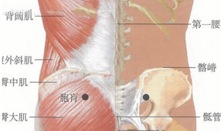 按摩胞盲穴的好處