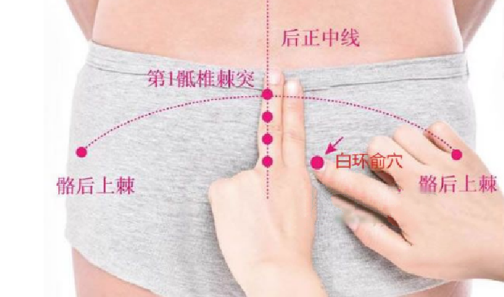 白環(huán)俞穴位置