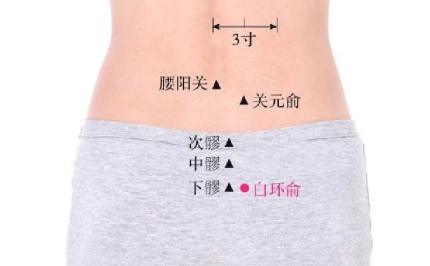 白環(huán)俞穴的功效與作用