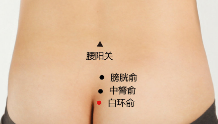 白環(huán)俞穴穴位配伍