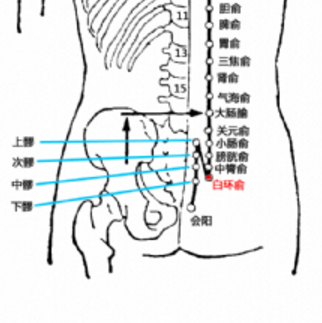 白環(huán)俞穴的準確位置在哪？它的取穴方法及其功效與作用有哪些？