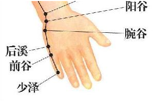 前谷穴位位置