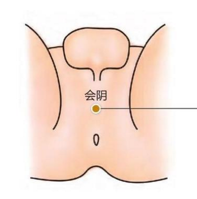 會陰穴的準確位置在哪？按摩會陰穴的好處有哪些？