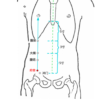 府舍穴的準(zhǔn)確位置在哪？按摩府舍穴的功效與作用有哪些？