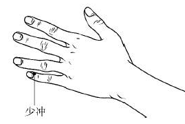 少?zèng)_穴位位置
