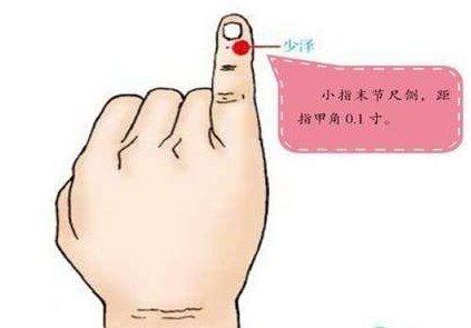 少?zèng)_穴的功效與作用