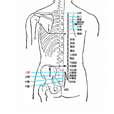 上髎穴的準(zhǔn)確位置在哪？它的取穴方法及其功效與作用有哪些？