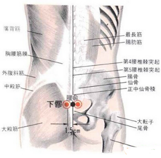按摩下髎穴疼痛是怎么回事？它的準(zhǔn)確位置及功效與作用有哪些？