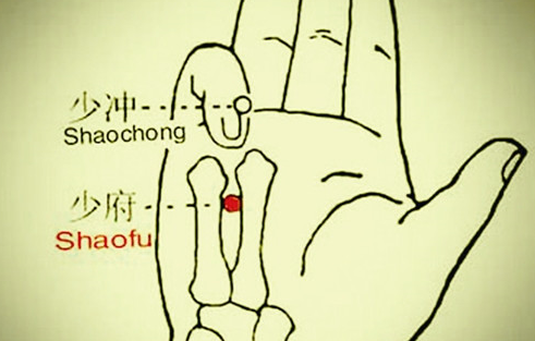 少府穴位位置