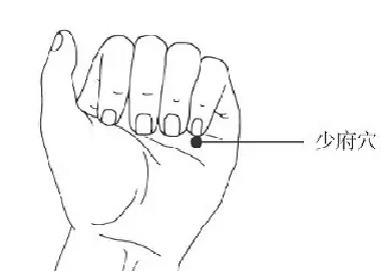 少府穴的功效與作用
