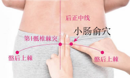 小腸俞穴位置
