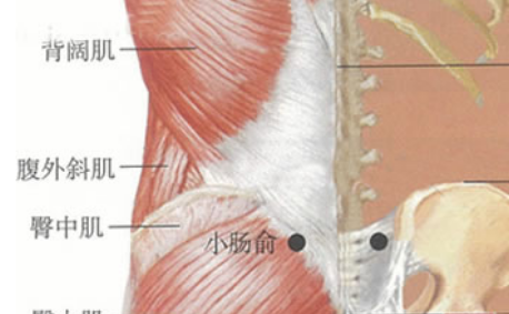 小腸俞穴的功效與作用