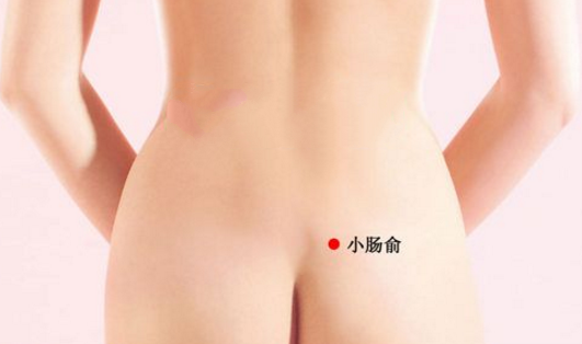 小腸俞穴穴位配伍