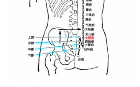 小腸俞穴的準(zhǔn)確位置及按摩小腸俞穴的功效與作用有哪些？
