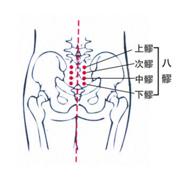中髎穴的準(zhǔn)確位置及其按摩中髎穴的功效與作用有哪些？