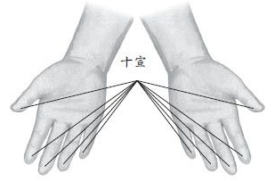 按摩十宣穴迅速退熱