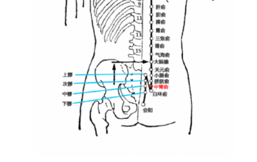 中膂俞穴的圖片