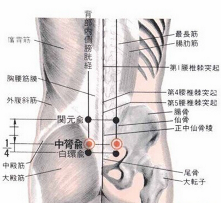 按摩中膂俞穴可緩解腰肌勞損，它的準(zhǔn)確位置及其按摩的功效與作用有哪些？